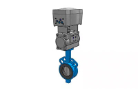 Затвор дисковый DN65 Festo C446073