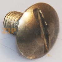 VITE A TESTA BOMBATA LARGA