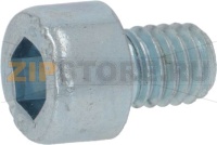 SCREW M6x8 GALVANIZED BOLT