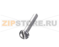 SCREW 1/4-20X1.75SS PH