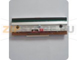Печатающая термоголовка Zebra TLP 3642 (300dpi) 