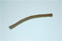 Corda grassata (quadro mm.8 cm.13) X4 6