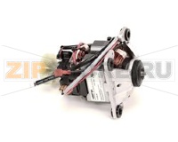 MOTOR COMPLETE (120V ONLY)