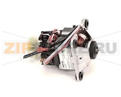 MOTOR COMPLETE (120V ONLY) 