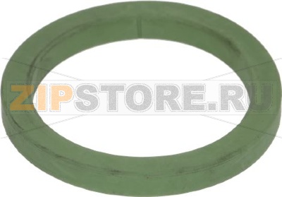 FILTER HOLDER GASKET H8 VITON 