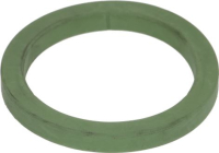 FILTER HOLDER GASKET H8 VITON