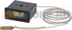 TELETHERMOMETER ARTHERMO -30/+40°C 