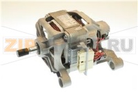 MOTOR 800 1000G CTD105TV