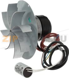 SMOKE EXTRACTORS ECOFIT 2RECA3 