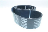 CINGHIA POLY V