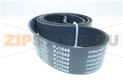 CINGHIA POLY V 