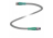 Кабель датчика-исполнительного устройства Connection cable V31-GM-2,2M-PUR-ABG-V31-GM Pepperl+Fuchs