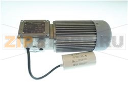 MOTORIDUTTORE MC 240P3 20 B5 