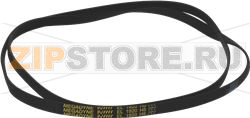 BELT MULTIGRIP 1920 H8 EL 