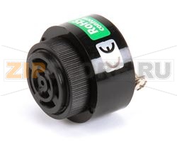 CICALINO DEL SEGNALE AUDIO 