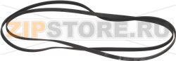 BELT HUTCHINSON 1885 H5 