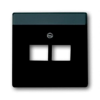 Накладка для двухпостовой розетки ABB 2CKA001710A3615