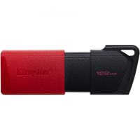 Накопитель USB 128 Гб Kingston DTXM/128GB
