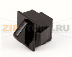 MICROSWITCH 