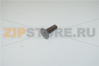 VITE SVASATA PARAMANO GLL