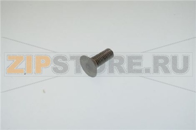 VITE SVASATA PARAMANO GLL 