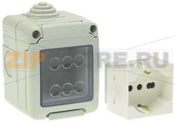 SOCKET [C] 