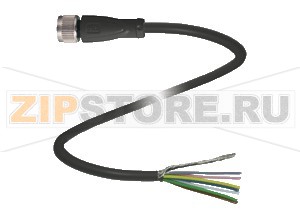 Аксессуар Cable socket, shielded V17-G-5M-PUR Pepperl+Fuchs Описание оборудованияFemale cordset, M12, 8-pin, shielded, PUR cable