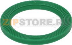 BLADES GROUP GASKET THERMOMIX TM5/TM6 