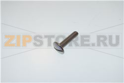 SCREW POELIERS ST.STEEL M6X25 