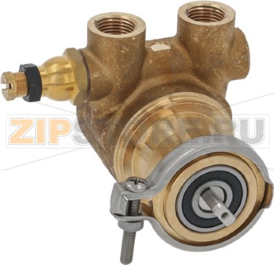 VOLUMETRIC PUMP ROTOFLOW ø 3/8 NPT 