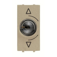 Механизм переключателя с ключом, одномодульный, шампань ABB 2CLA215310N1901