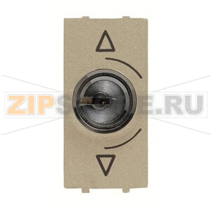 Механизм переключателя с ключом, одномодульный, шампань ABB 2CLA215310N1901 