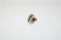 Upper grid fixing screw