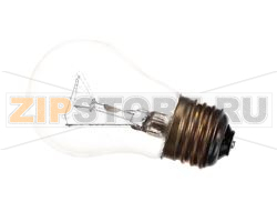 KIT,LIGHT BULB 40W 120V-SINGLE 