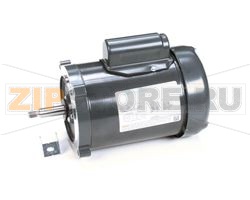 MOTOR 1/3HP 120V PW-1 