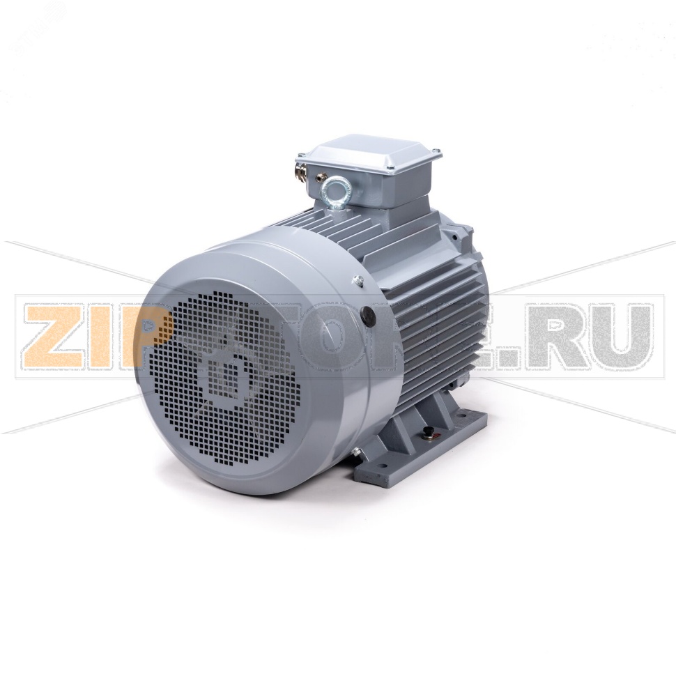 Электродвигатель трехфазный 110 кВт, 380/660 В ESQ 01.01.223809 