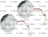 HALOGEN LAMPS ELICA T1250 20W 12V