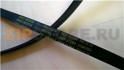 COURROIE 1264 J5 EL WF-1702 