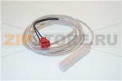 SONDA CANDY 