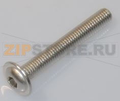 VITE A TESTA BOMBATA CON FLANGIA M6x45 