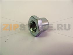 RING NUT [C] 