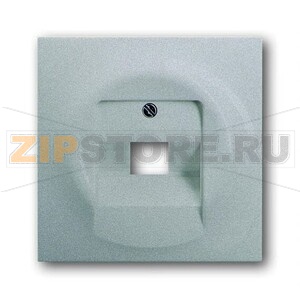 Накладка для однопостовой розетки с полем для надписи ABB 2CKA001753A0087 