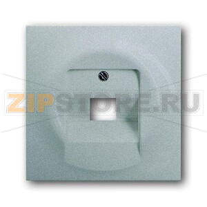 Накладка для однопостовой розетки с полем для надписи ABB 2CKA001753A0087 