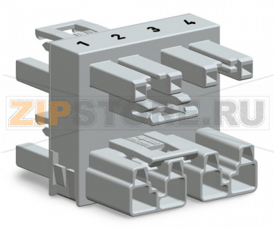 3-way distribution connector; 4-pole; Cod. B; 1 input; 3 outputs; pink Wago 770-1736 Protected against mismating and maintenance-freeAdditional variable coding is possible.Components can be clearly printed on and color-coded to meet custom requirements....