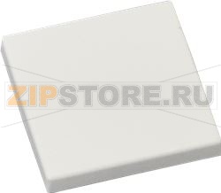 CACHE VIS POIGNEE REF 