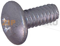 THERMOSTAT SCREW 2.5x8 mm 