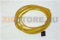 SONDA 