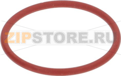 O-RING GASKET 