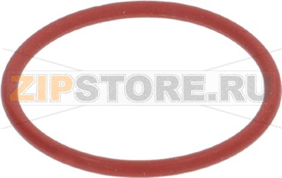O-RING GASKET 
