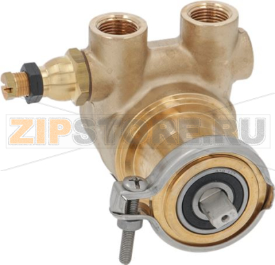 VOLUMETRIC PUMP ROTOFLOW ø 3/8 GAS 